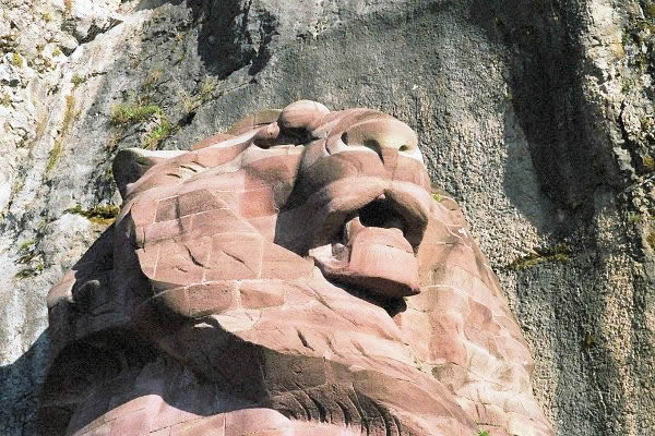 lion
